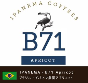 画像1: イパネマ農園・B71エリア Apricot (ブラジル産)