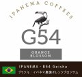 【ゲイシャ】イパネマ農園・G54エリア Orange Blossom (ブラジル産)