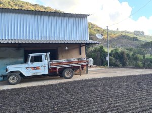 画像3: カルロスさんのヴァルジェムグランデ農園（ブラジル産）